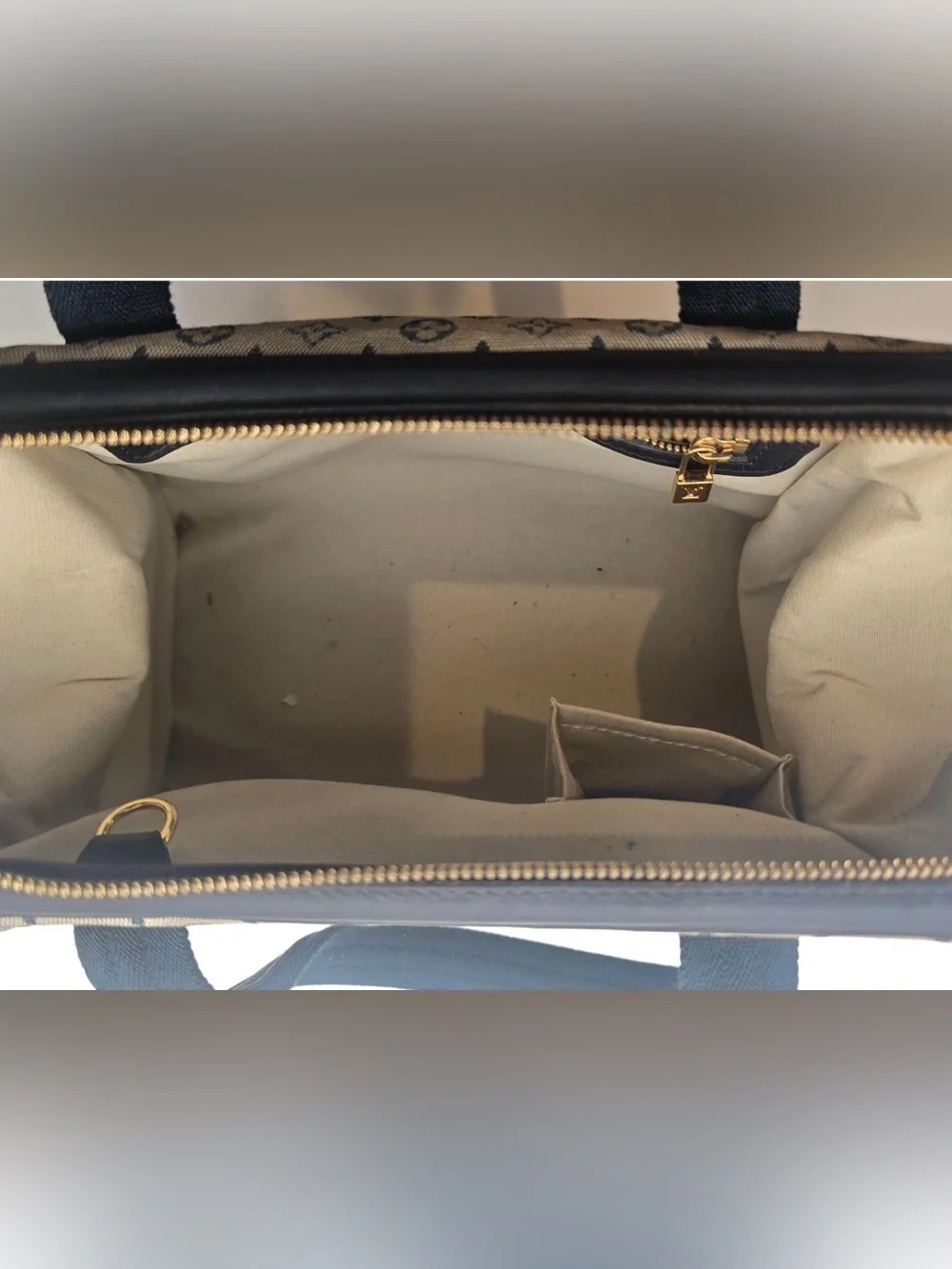 Final Price ✨Live Show Listing✨ Louis Vuitton Monogram Mini Josephine PM